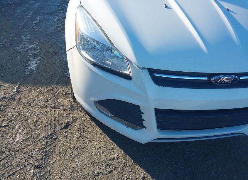 Photo 6 of 2013 Ford Escape SE (VIN 1FMCU0GX9DUA80381)