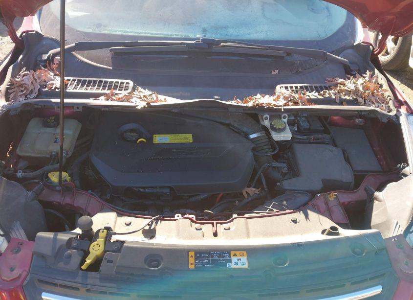 Photo 10 of 2013 Ford Escape SE (VIN 1FMCU0GX9DUD64741)