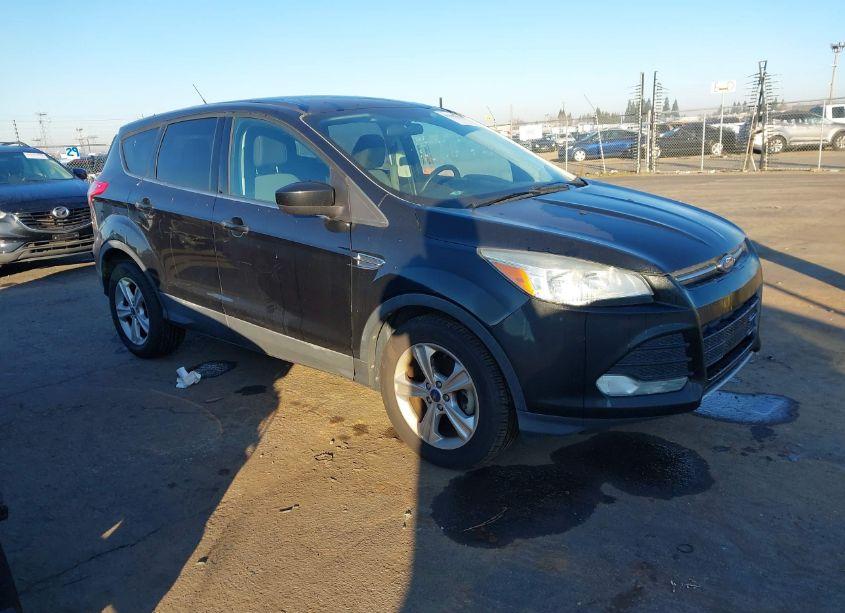 2014 Ford Escape SE (VIN 1FMCU0GX9EUA05584) main photo