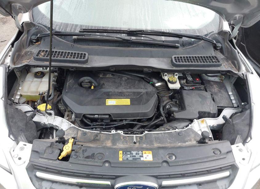 Photo 10 of 2014 Ford Escape SE (VIN 1FMCU0GX9EUA28895)