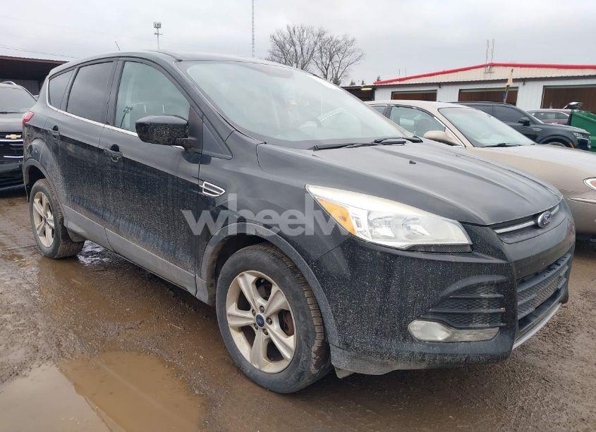 2014 Ford Escape SE (VIN 1FMCU0GX9EUA43431) main photo