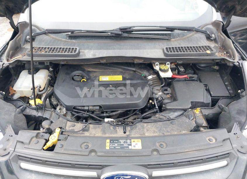 Photo 10 of 2014 Ford Escape SE (VIN 1FMCU0GX9EUA43431)