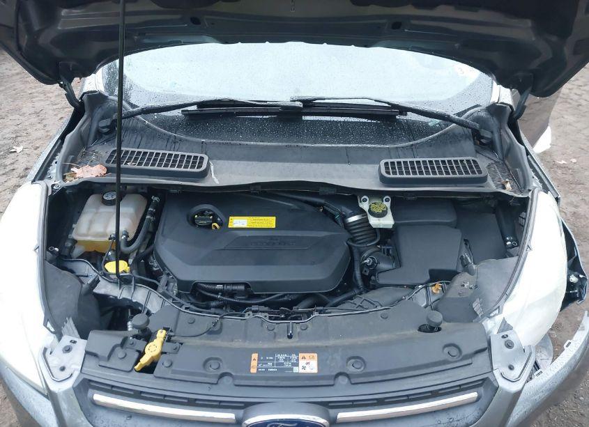 Photo 10 of 2014 Ford Escape SE (VIN 1FMCU0GX9EUA50752)