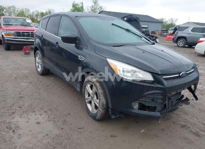 2014 Ford Escape SE (VIN 1FMCU0GX9EUA60701) main photo