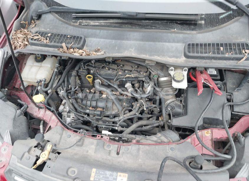 Photo 10 of 2014 Ford Escape SE (VIN 1FMCU0GX9EUA61640)