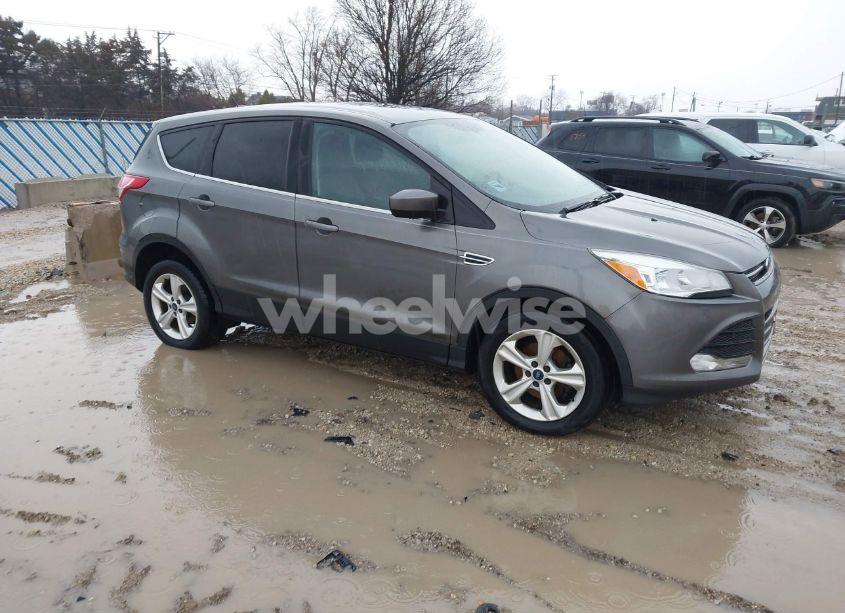 2014 Ford Escape SE (VIN 1FMCU0GX9EUA67390) main photo
