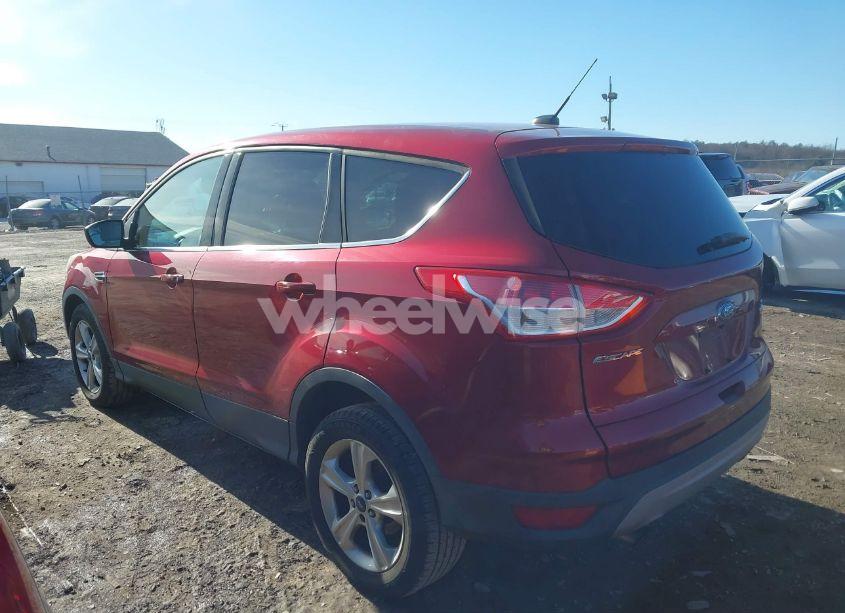 Photo 3 of 2014 Ford Escape SE (VIN 1FMCU0GX9EUA73531)