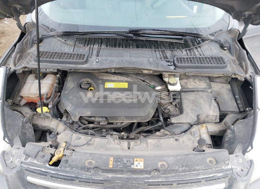 Photo 10 of 2014 Ford Escape SE (VIN 1FMCU0GX9EUB44193)