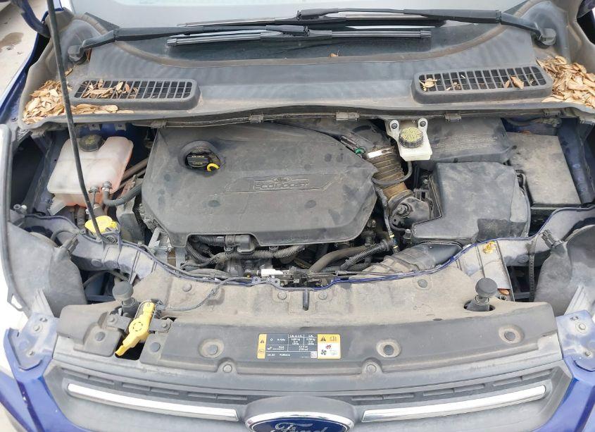 Photo 10 of 2014 Ford Escape SE (VIN 1FMCU0GX9EUB45053)