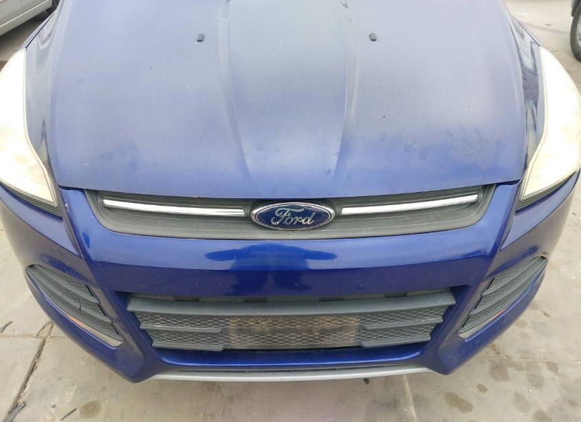 Photo 6 of 2014 Ford Escape SE (VIN 1FMCU0GX9EUB45053)