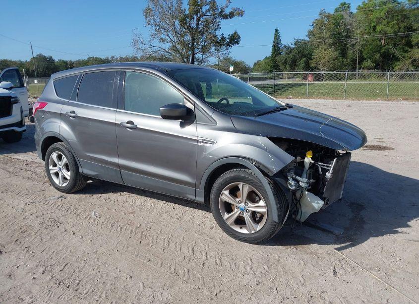 2014 Ford Escape SE (VIN 1FMCU0GX9EUB55601) main photo