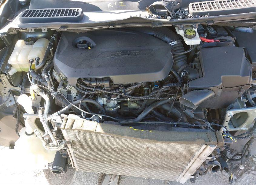 Photo 10 of 2014 Ford Escape SE (VIN 1FMCU0GX9EUB55601)