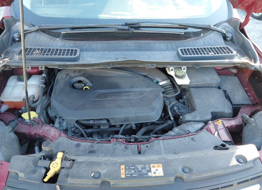 Photo 10 of 2014 Ford Escape SE (VIN 1FMCU0GX9EUB59681)