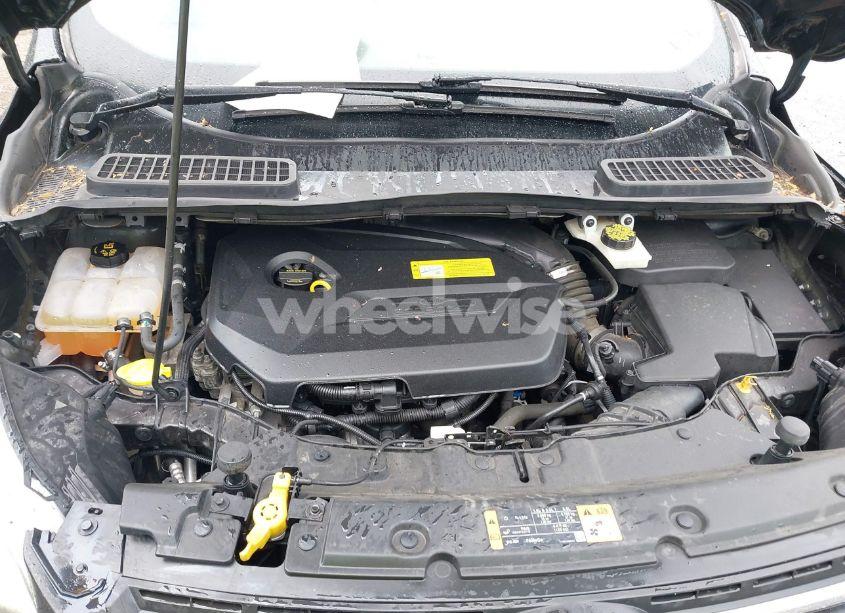 Photo 10 of 2014 Ford Escape SE (VIN 1FMCU0GX9EUB91871)