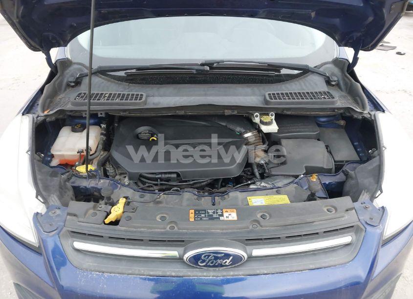 Photo 10 of 2014 Ford Escape SE (VIN 1FMCU0GX9EUC06692)