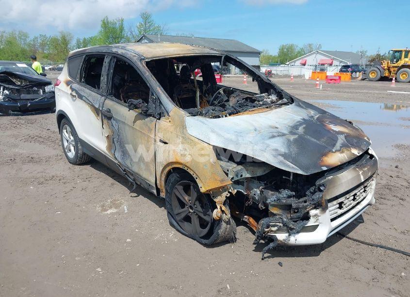 2014 Ford Escape SE (VIN 1FMCU0GX9EUC28711) main photo