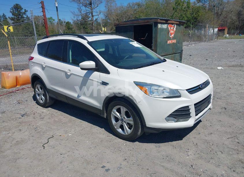 2014 Ford Escape SE (VIN 1FMCU0GX9EUC48599) main photo