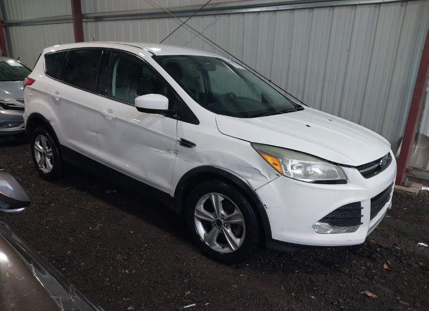 2014 Ford Escape SE (VIN 1FMCU0GX9EUC70053) main photo