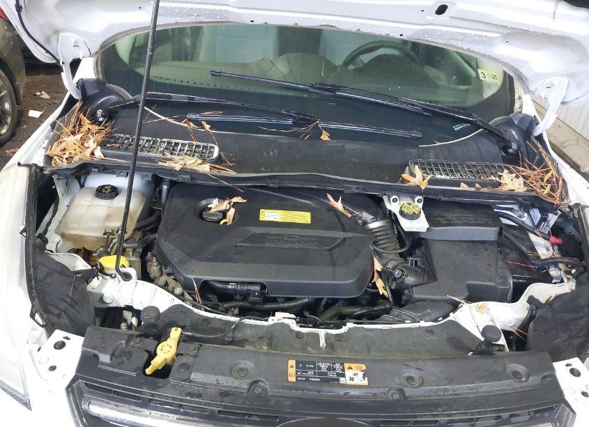 Photo 10 of 2014 Ford Escape SE (VIN 1FMCU0GX9EUC70053)