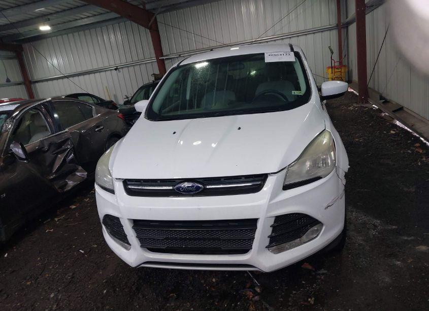 Photo 12 of 2014 Ford Escape SE (VIN 1FMCU0GX9EUC70053)