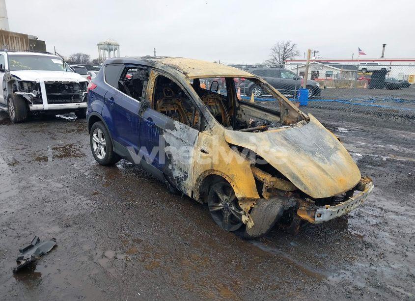 2014 Ford Escape SE (VIN 1FMCU0GX9EUD05674) main photo