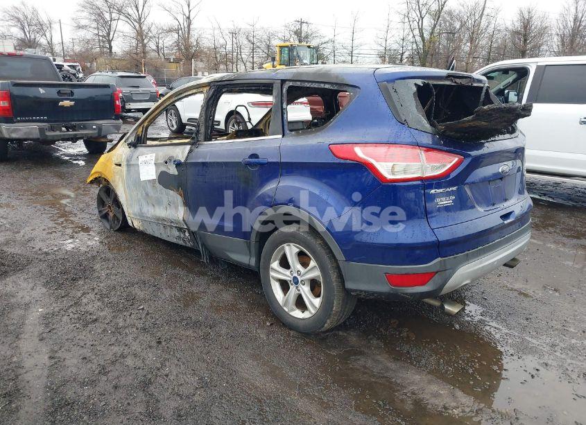 Photo 3 of 2014 Ford Escape SE (VIN 1FMCU0GX9EUD05674)