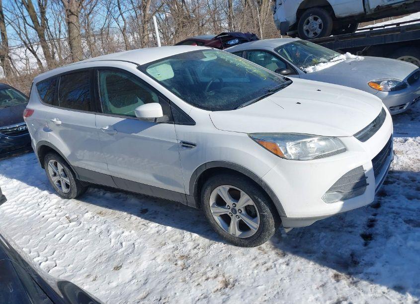 2014 Ford Escape SE (VIN 1FMCU0GX9EUD10194) main photo