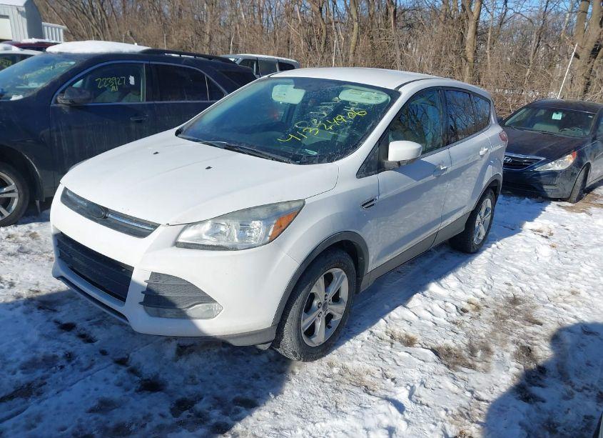 Photo 2 of 2014 Ford Escape SE (VIN 1FMCU0GX9EUD10194)
