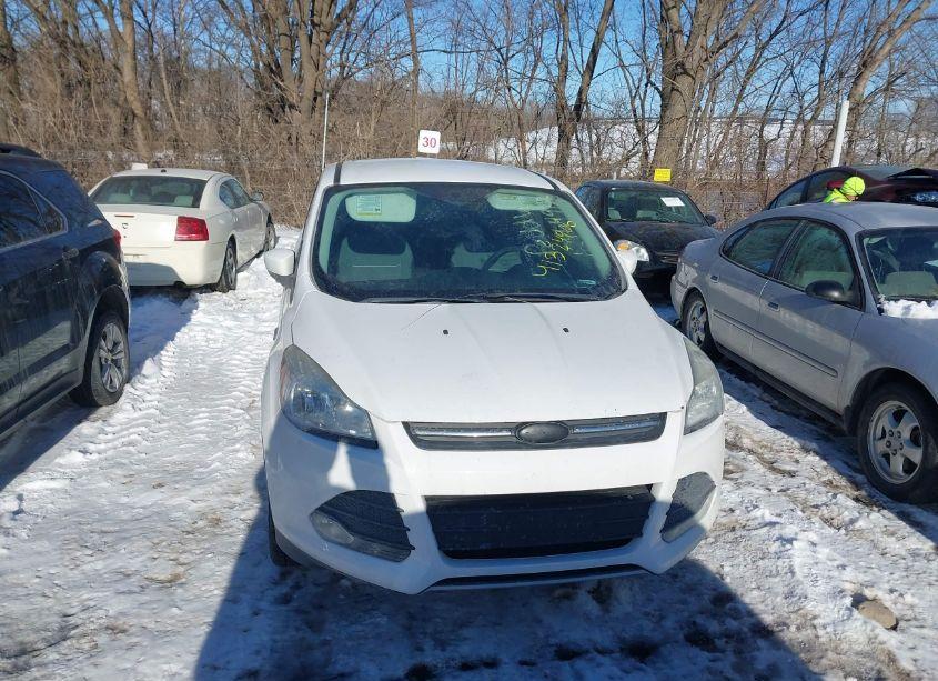 Photo 6 of 2014 Ford Escape SE (VIN 1FMCU0GX9EUD10194)
