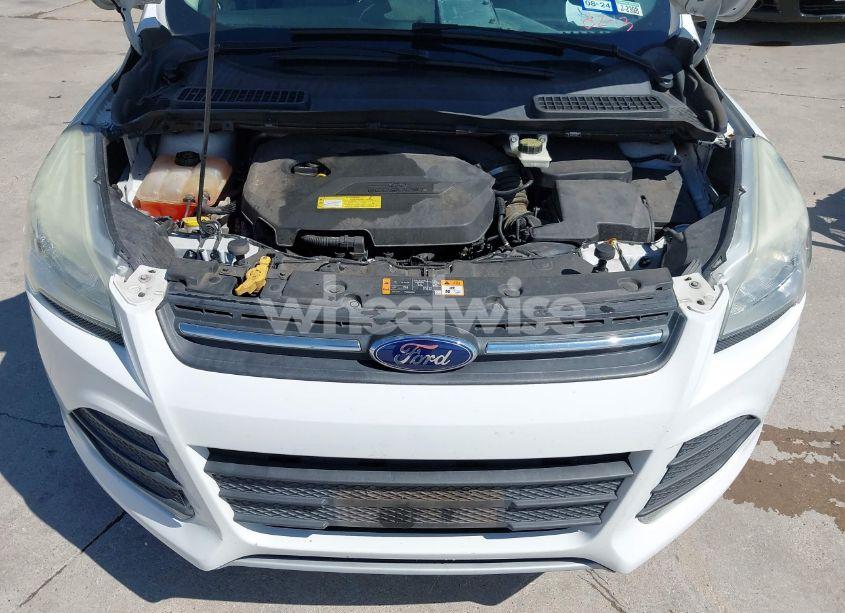 Photo 10 of 2014 Ford Escape SE (VIN 1FMCU0GX9EUD16853)