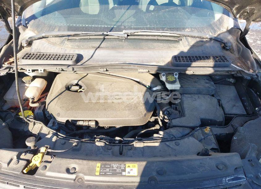 Photo 10 of 2014 Ford Escape SE (VIN 1FMCU0GX9EUD41137)