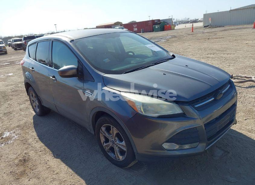2014 Ford Escape SE (VIN 1FMCU0GX9EUE20677) main photo