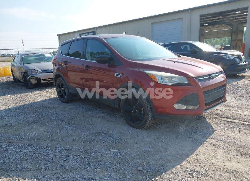 2014 Ford Escape SE (VIN 1FMCU0GX9EUE46650) main photo