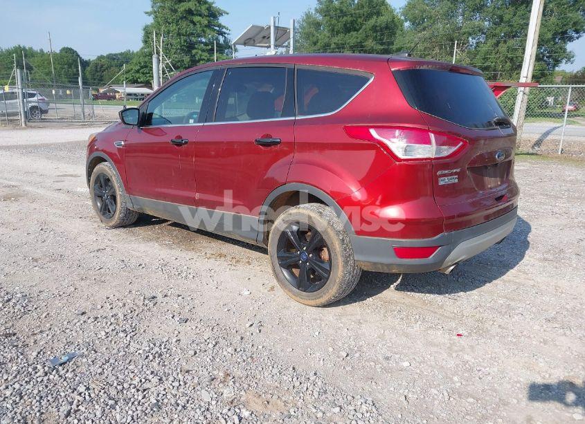 Photo 3 of 2014 Ford Escape SE (VIN 1FMCU0GX9EUE46650)