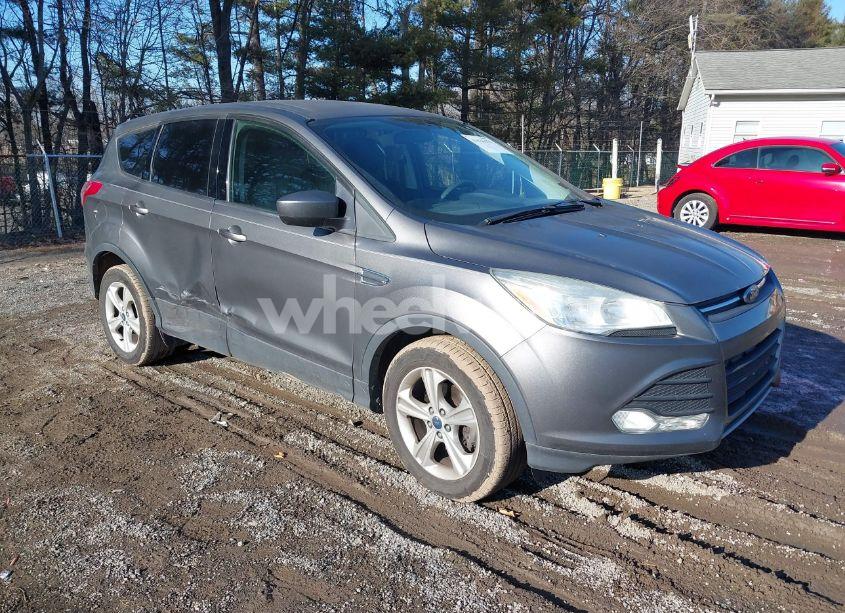 2014 Ford Escape SE (VIN 1FMCU0GX9EUE49113) main photo