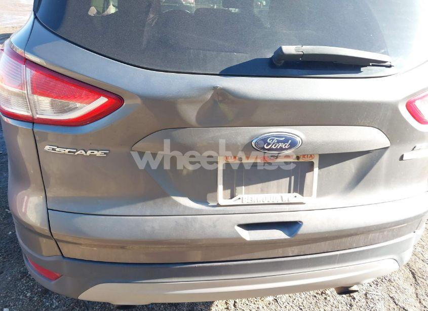 Photo 13 of 2014 Ford Escape SE (VIN 1FMCU0GX9EUE49113)