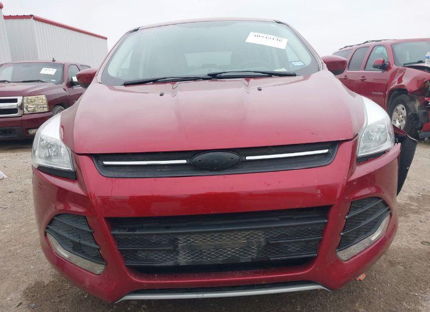 Photo 12 of 2014 Ford Escape SE (VIN 1FMCU0GX9EUE50200)