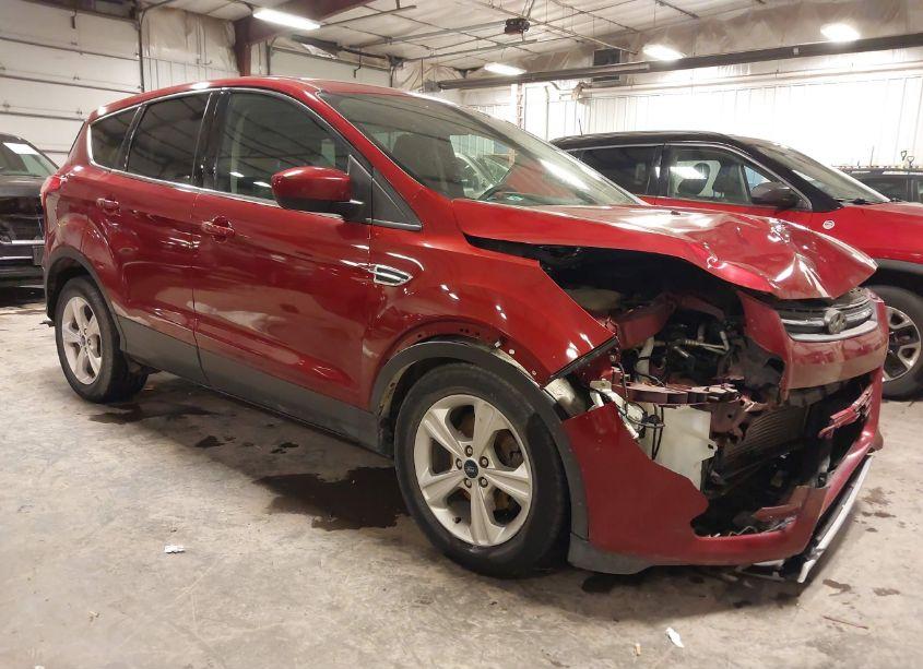 2015 Ford Escape SE (VIN 1FMCU0GX9FUA07997) main photo