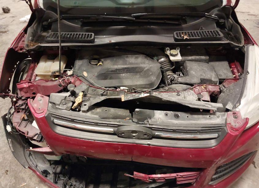 Photo 10 of 2015 Ford Escape SE (VIN 1FMCU0GX9FUA07997)