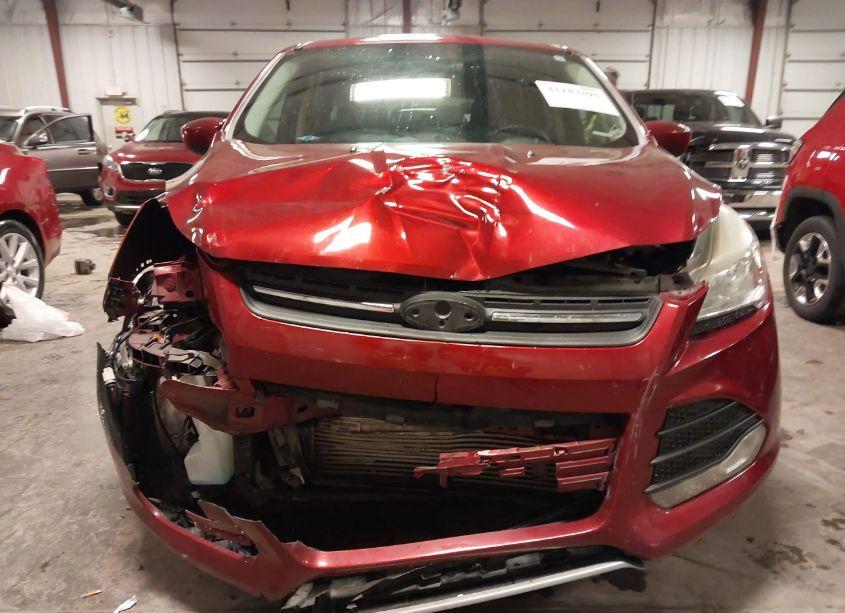 Photo 13 of 2015 Ford Escape SE (VIN 1FMCU0GX9FUA07997)