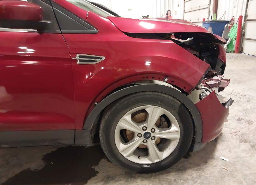 Photo 19 of 2015 Ford Escape SE (VIN 1FMCU0GX9FUA07997)