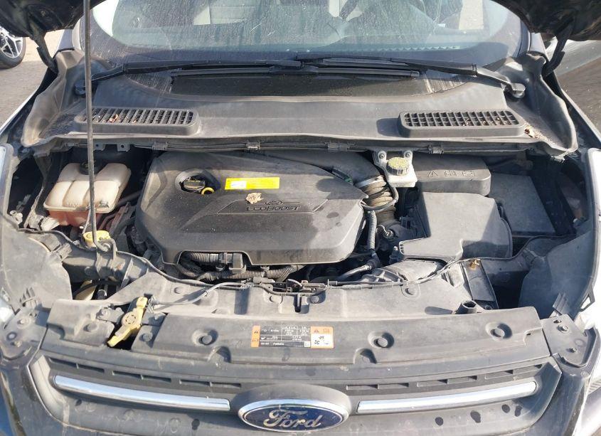 Photo 10 of 2016 Ford Escape SE (VIN 1FMCU0GX9GUA43674)