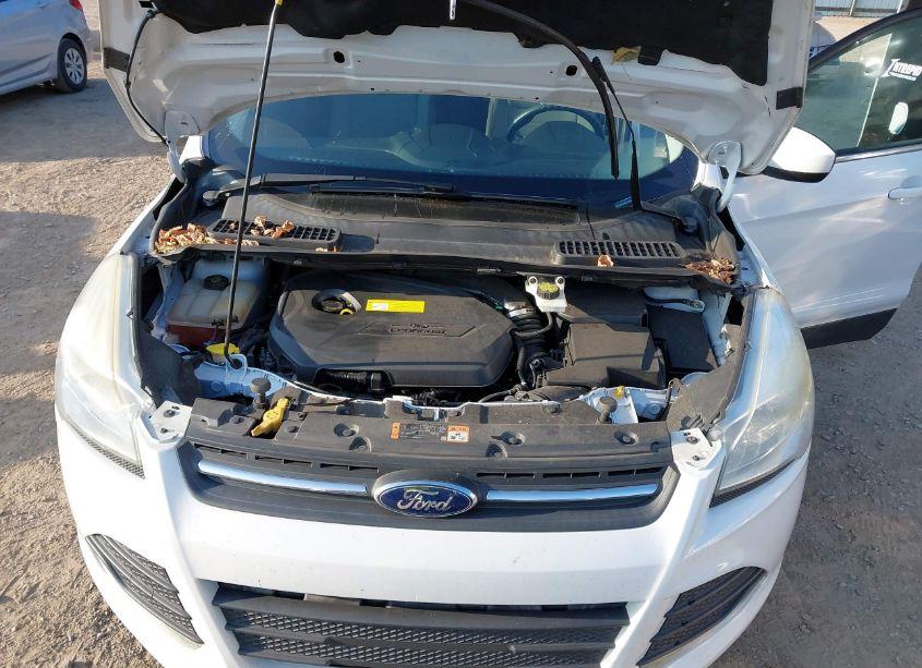 Photo 10 of 2016 Ford Escape SE (VIN 1FMCU0GX9GUA55548)