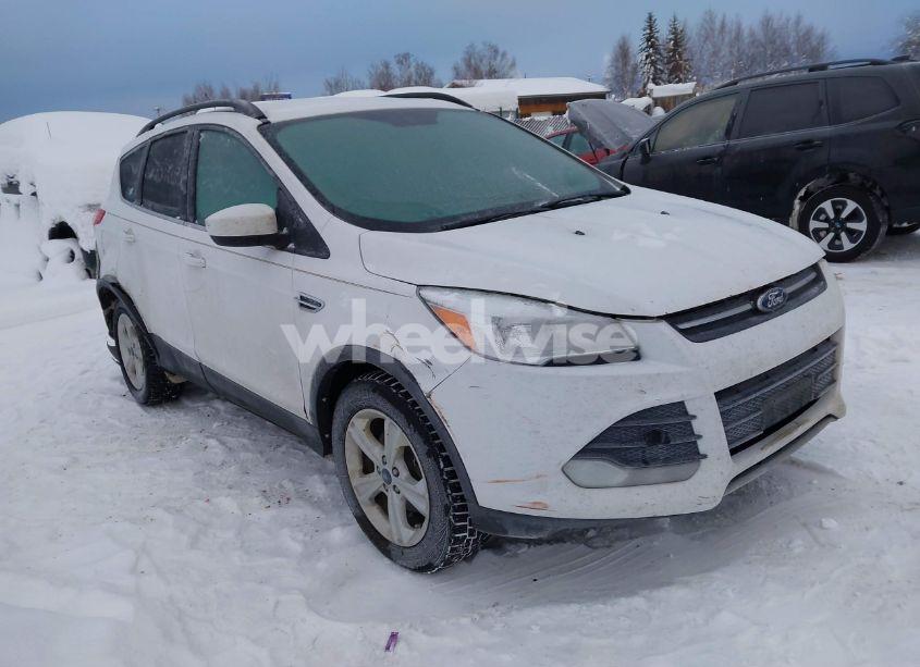 2016 Ford Escape SE (VIN 1FMCU0GX9GUA73063) main photo