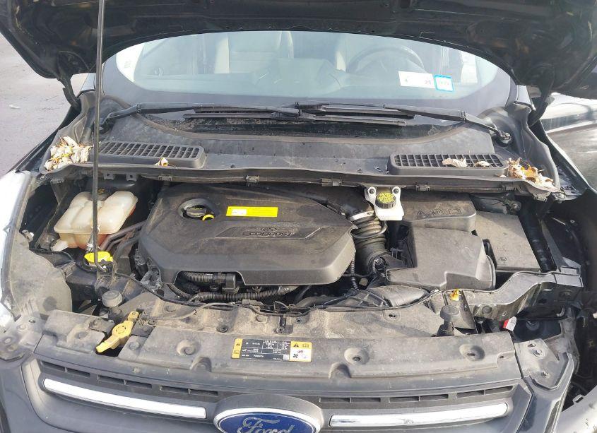 Photo 10 of 2016 Ford Escape SE (VIN 1FMCU0GX9GUC40151)