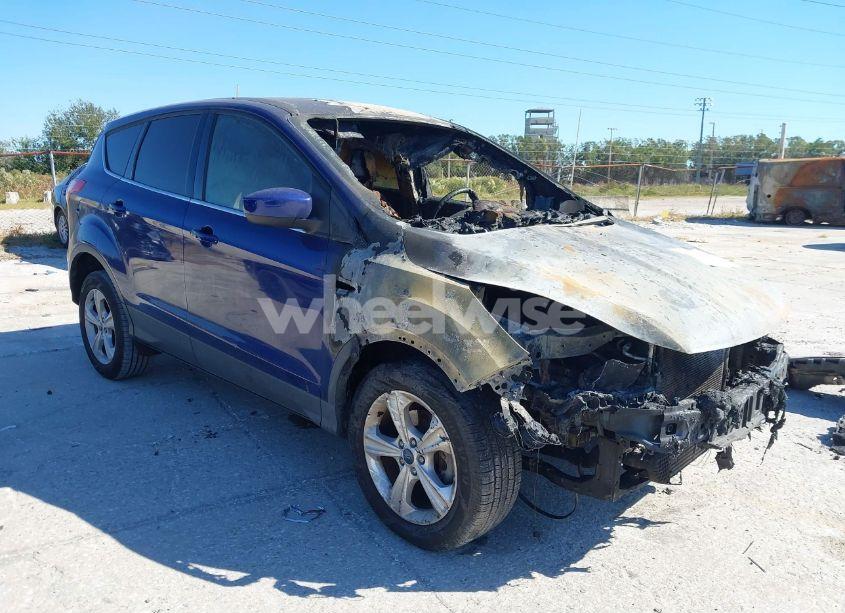 2013 Ford Escape SE (VIN 1FMCU0GXXDUA04233) main photo