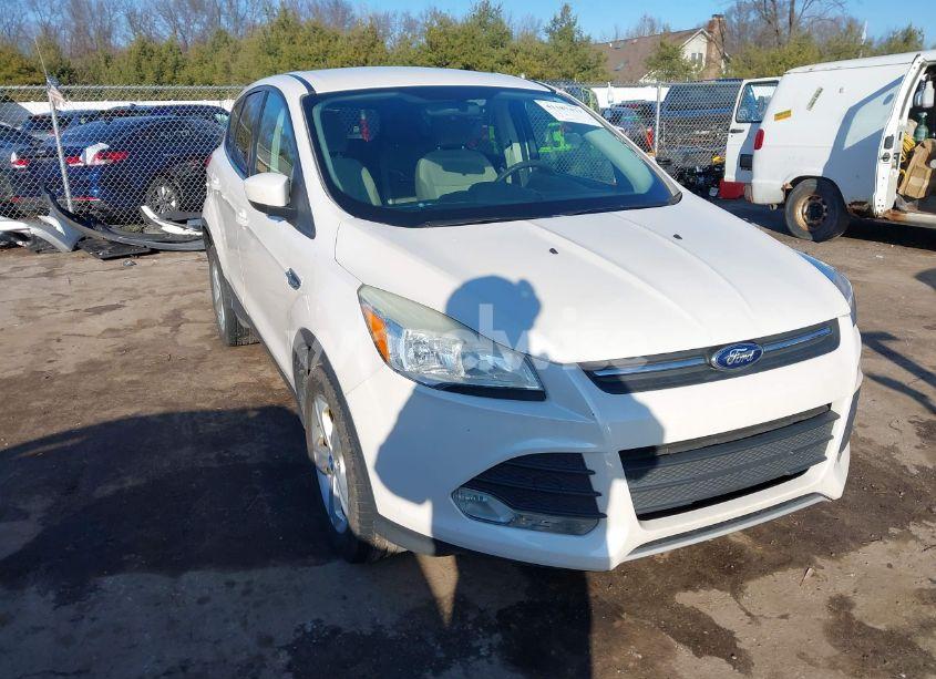 2013 Ford Escape SE (VIN 1FMCU0GXXDUA52377) main photo