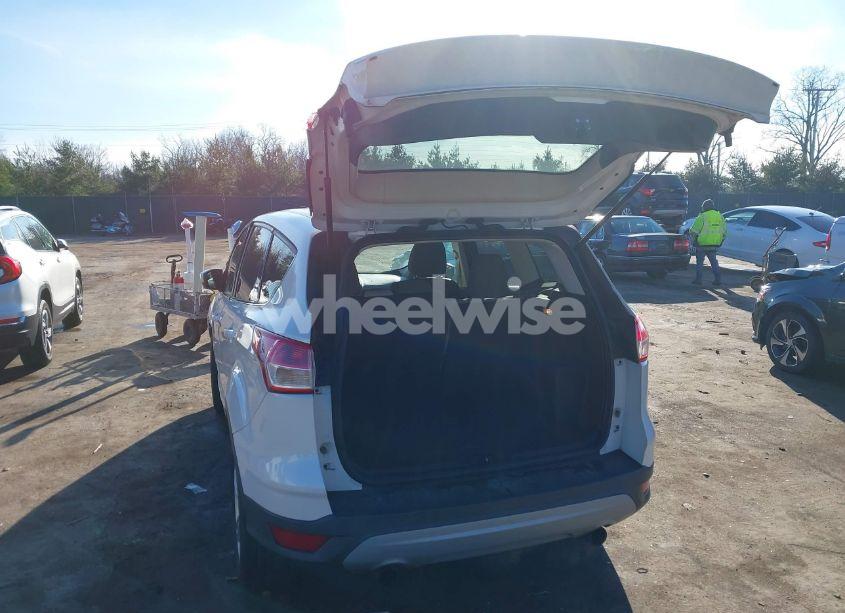 Photo 3 of 2013 Ford Escape SE (VIN 1FMCU0GXXDUA52377)