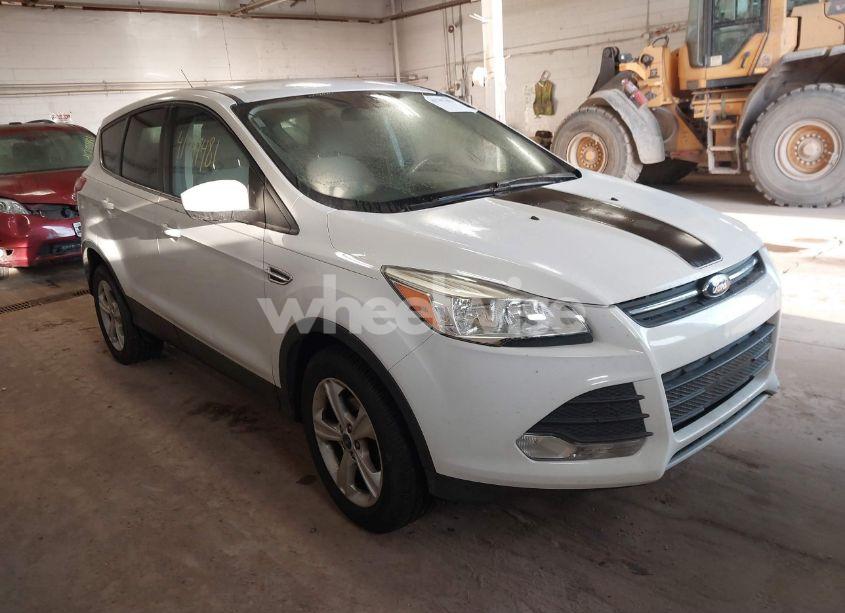 2013 Ford Escape SE (VIN 1FMCU0GXXDUA80485) main photo