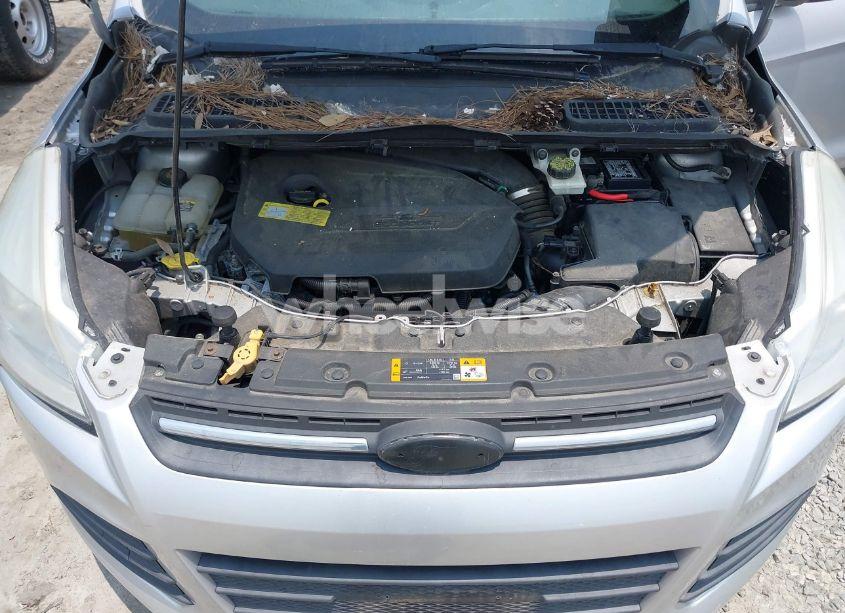 Photo 10 of 2013 Ford Escape SE (VIN 1FMCU0GXXDUB51801)